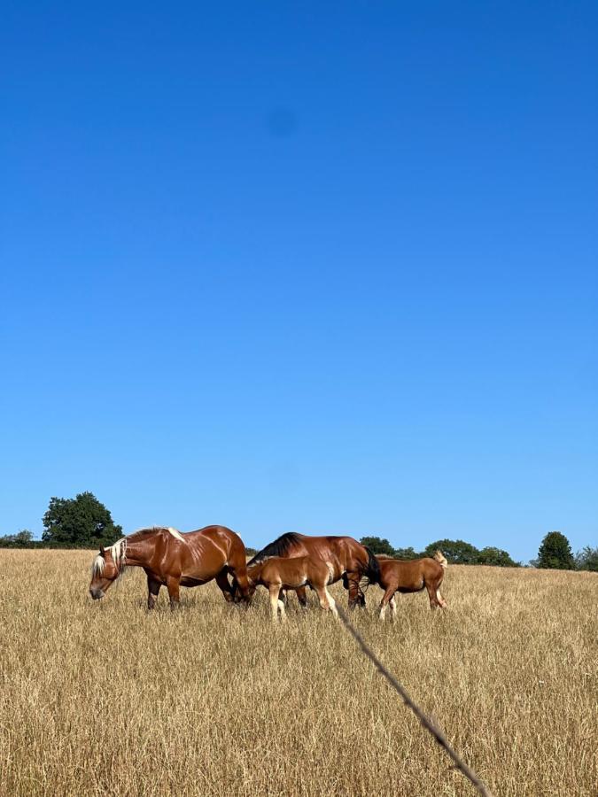 Hotel Tout Au Bout Du Chemin Réquista Esterno foto